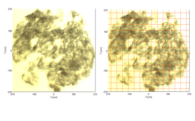 Tạo bản đồ mapping của phổ truyền qua cấp độ micro của mẫu số 2