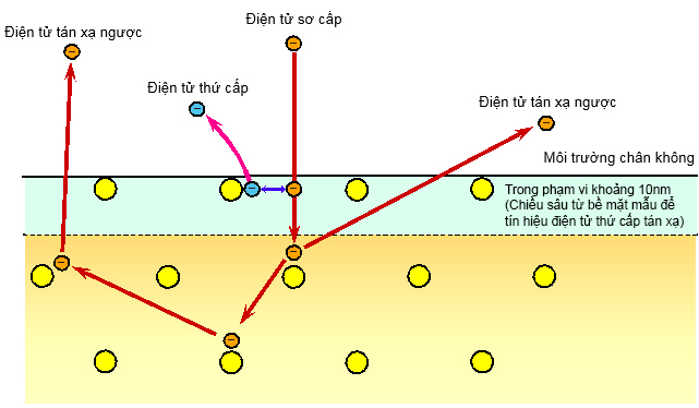 Phát xạ tín hiệu điện tử thứ cấp (SE) và điện tử tán xạ ngược (BSE) từ bề mặt mẫu