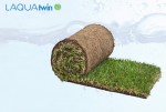 Đo hàm lượng nitrat trong lớp đất cỏ