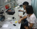 Trung tâm Nhiệt đới Việt Nga tiếp nhận kính hiển vi kim tương và phân tích vật liệu Leica DMi8 