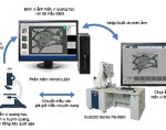 Ra mắt hệ thống MirrorCLEM cho kính hiển vi điện tử – quang học tương quang (CLEM)