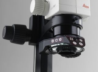 Factors to Consider When Selecting a Stereo Microscope