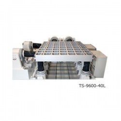 Hệ thống thử rung quy mô lớn IMV TS-9600-40L (6 DOF)