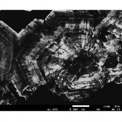 Centaurus SEM Cathodoluminescence (CL) & BSE Detector