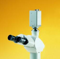 Kính hiển vi kim tương Leica DM ILM