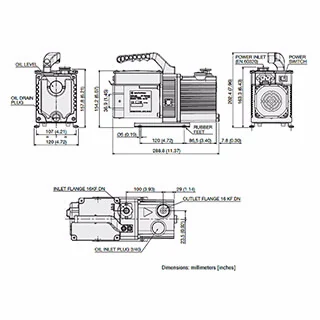 Bơm cánh gạt DS 40M - Ảnh 3