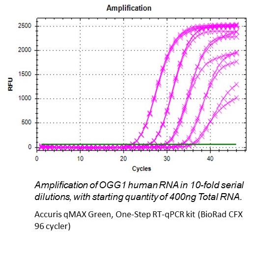 Bộ kit qMAX RT-qPCR một bước Accuris - Ảnh 3