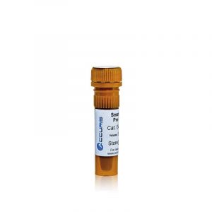 Thuốc nhuộm DNA SmartGlow