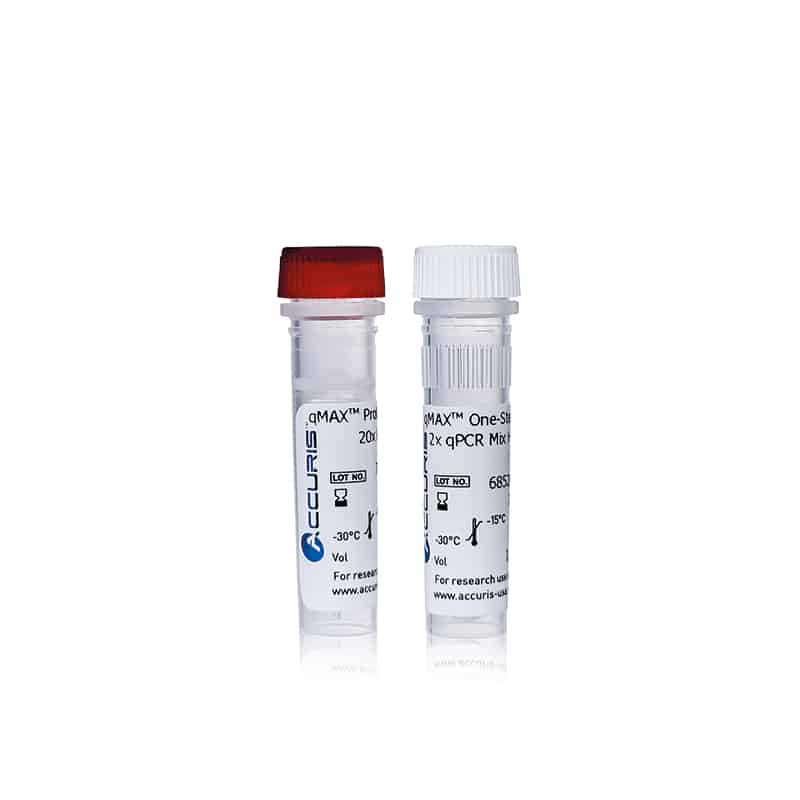 Bộ kit qMAX RT-qPCR một bước Accuris - Ảnh 2