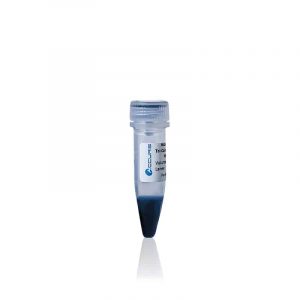 Thang chuẩn Protein SmartCheck