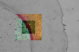 Kính hiển vi đảo ngược DMi8