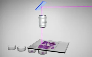 Hệ thống vi phẫu laser Leica LMD