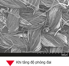 Quan sát với kính SEM