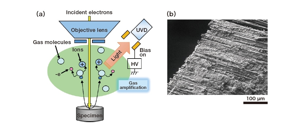 Fig. 1 (a) Schematic diagram of UVD signal detection. (b) UVD image of CFRP
