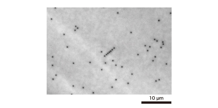 Fig. 2 CL observation results for gallium nitride substrate (accelerating voltage: 5 kV) (Specimen provided by courtesy of Associate Professor Yoshio Honda, Center for Integrated Research of Future Electronics, Institute of Materials and Systems for Sustainability, Nagoya University)