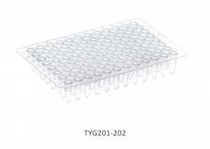 Đĩa PCR