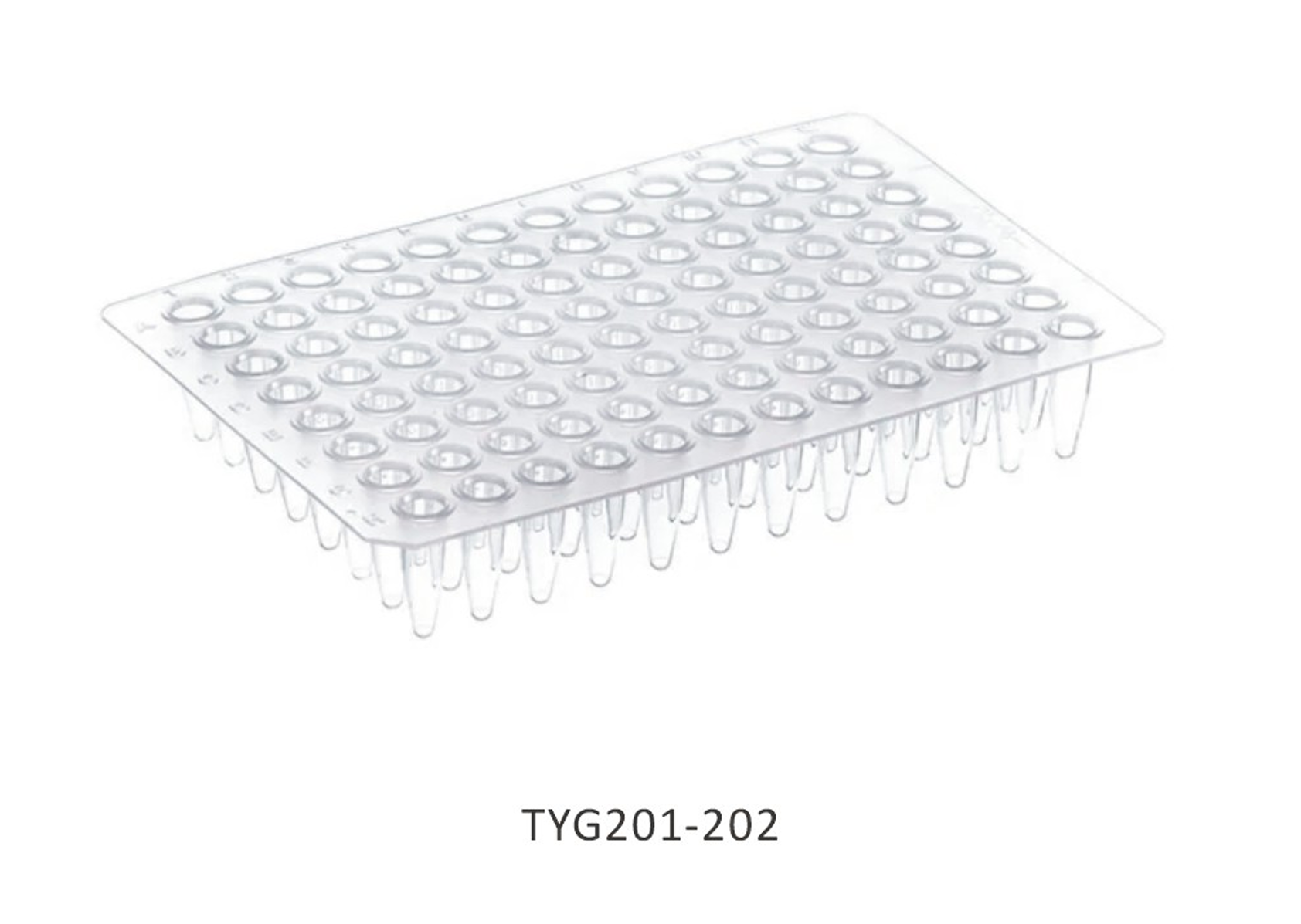Đĩa PCR