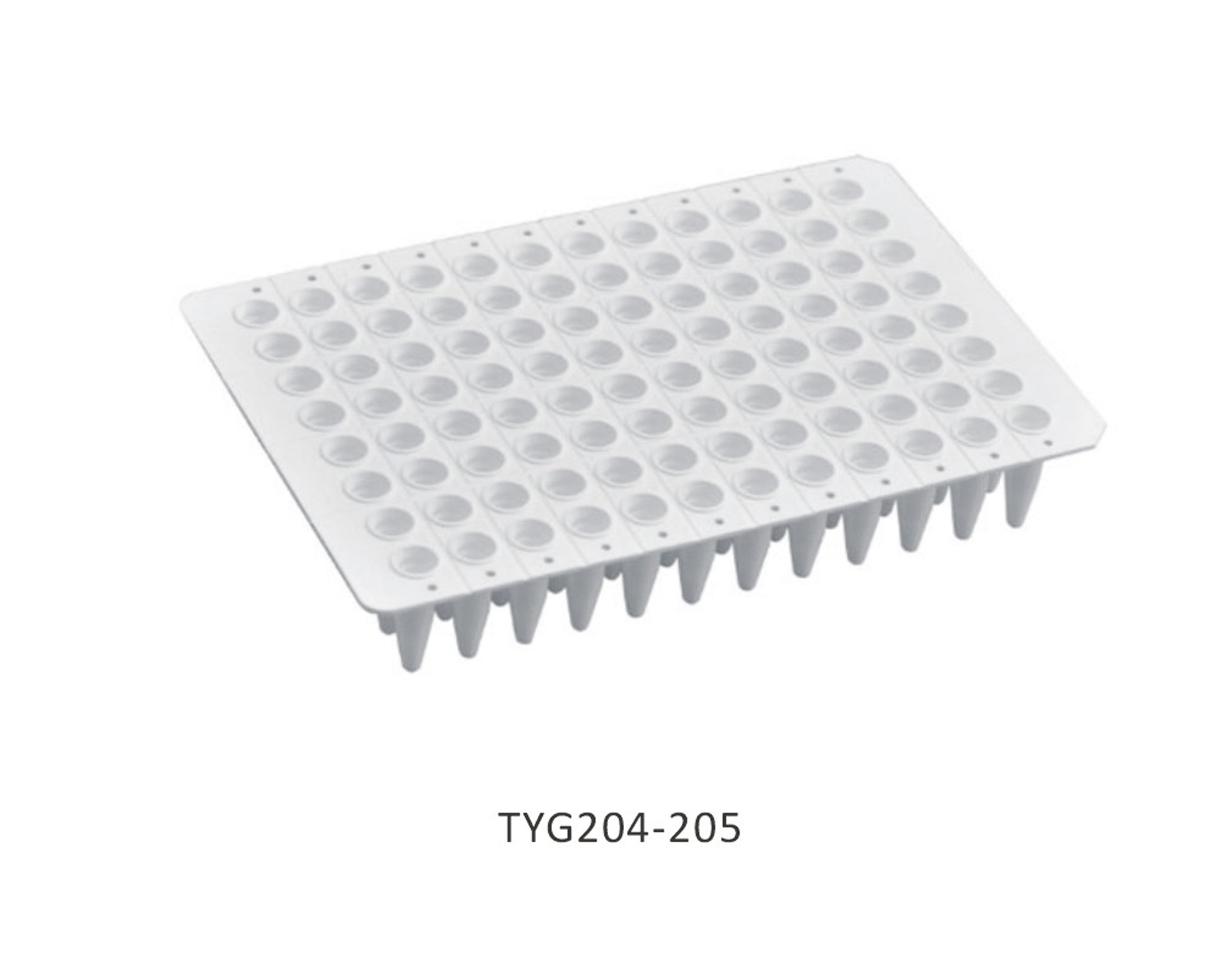 Đĩa PCR - Ảnh 2
