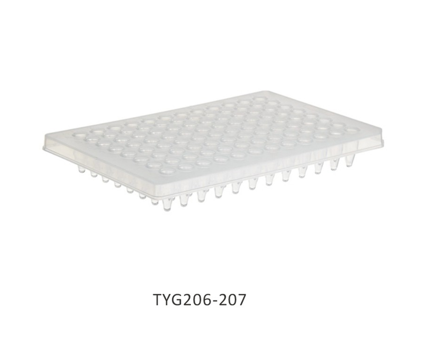 Đĩa PCR - Ảnh 3