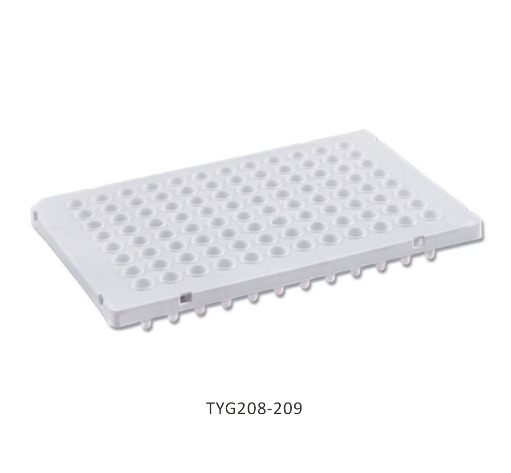 Đĩa PCR - Ảnh 4