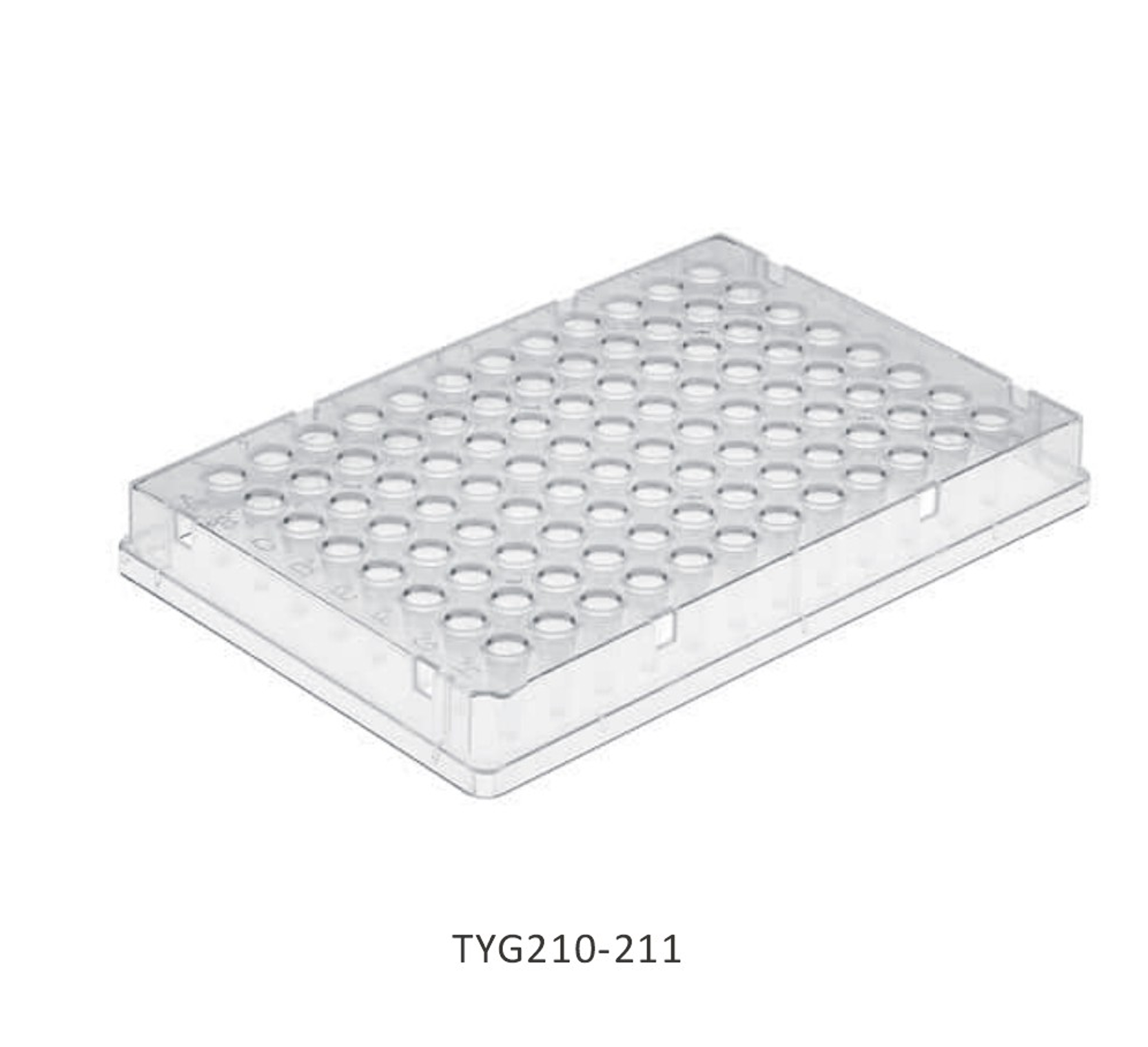 Đĩa PCR - Ảnh 5